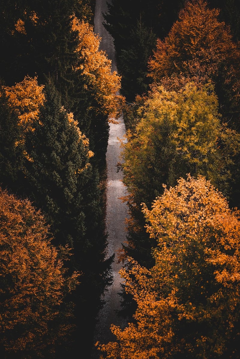 Mindful Hiking Trips