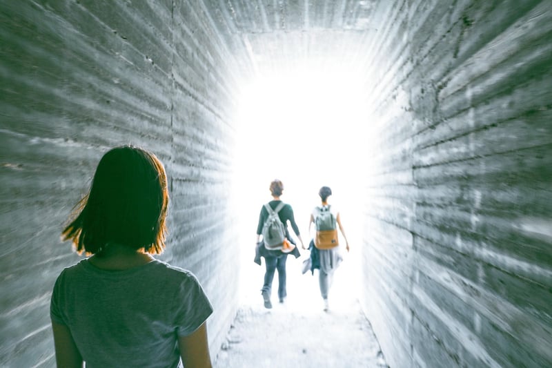 Mindful Walking Guides